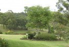 Wombelanoresidential-landscaping-40.jpg; ?>